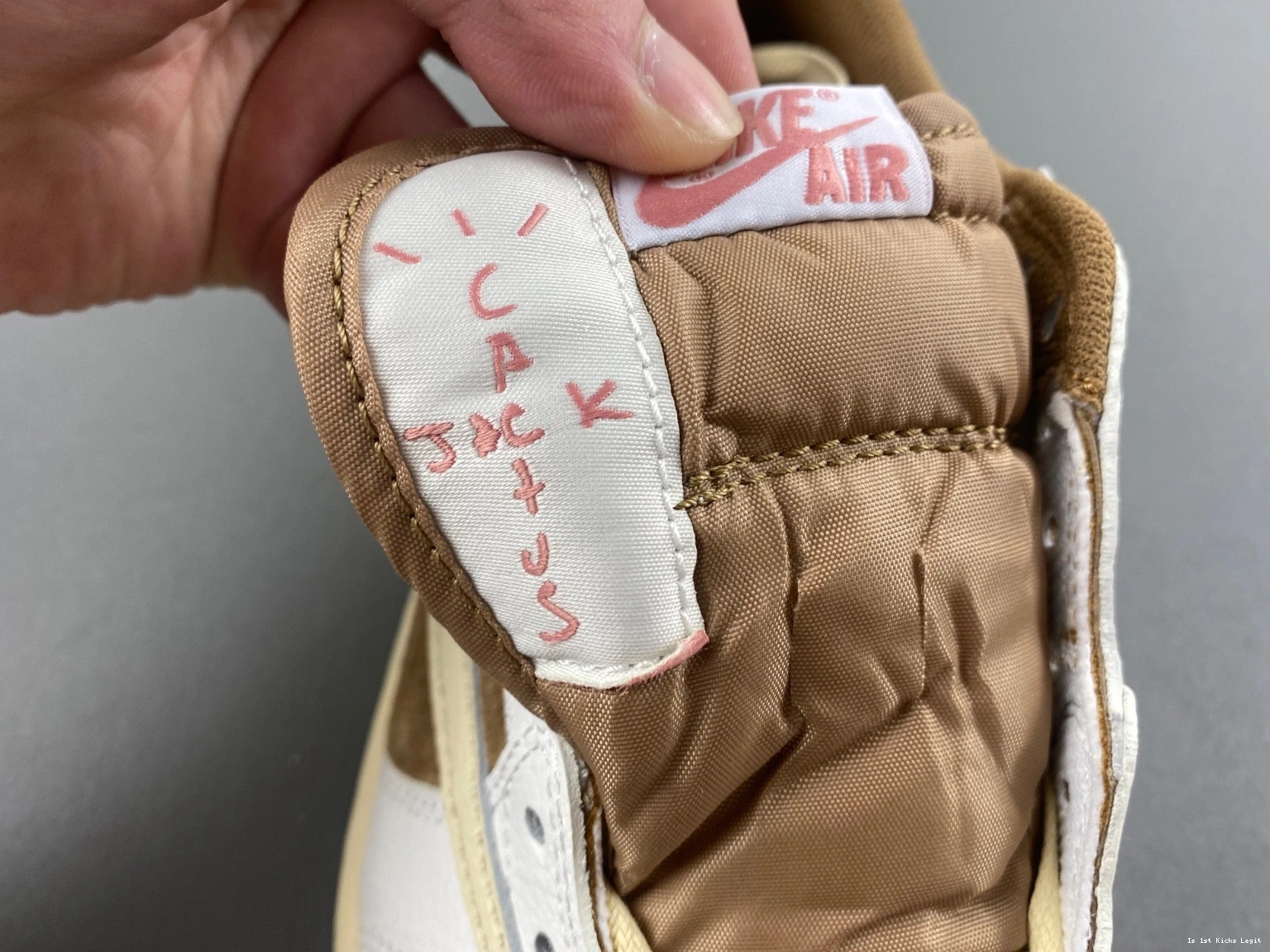 Jordan Scott Shy 1 OG Low Air DM7866-106 Sail Pink Travis 1115